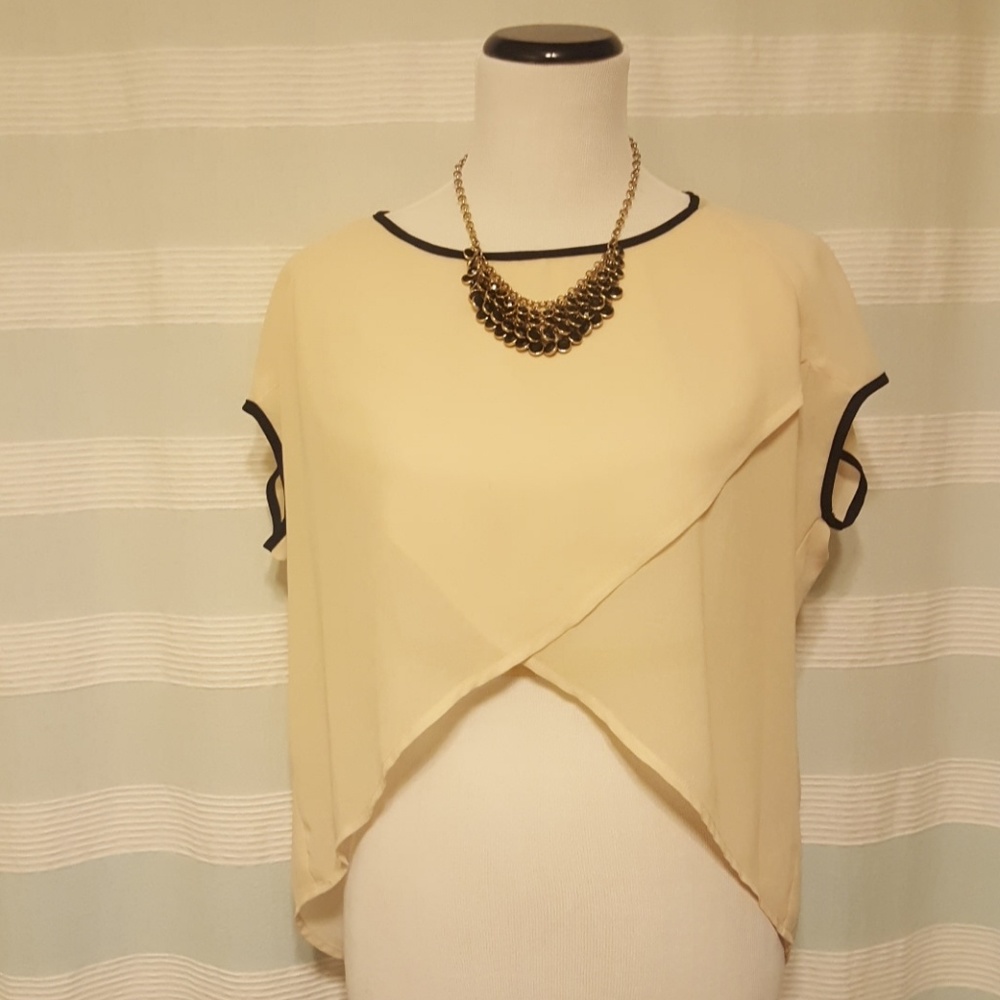 Sheer Beige Blouse - image 1